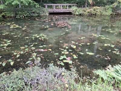 line_oa_chat_260929_112820