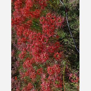 line_oa_chat_261003_133628