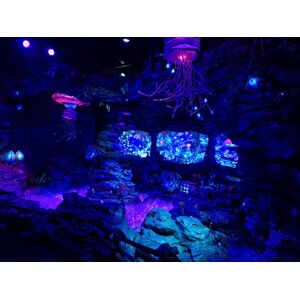 line_oa_chat_261007_145359