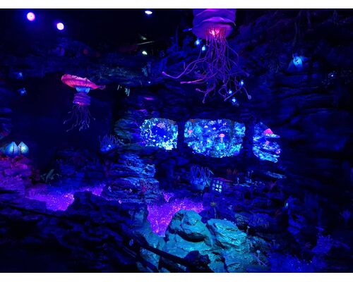 line_oa_chat_261007_145359